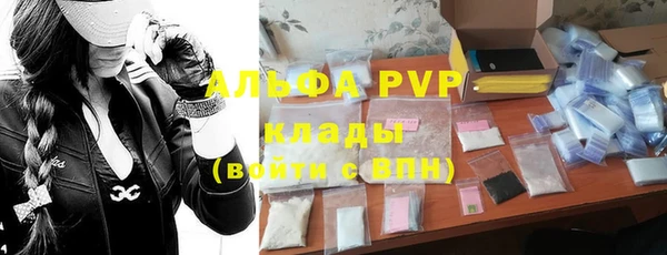 сатива Алзамай