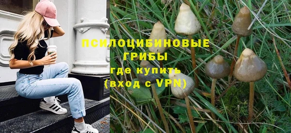 mix Алексин