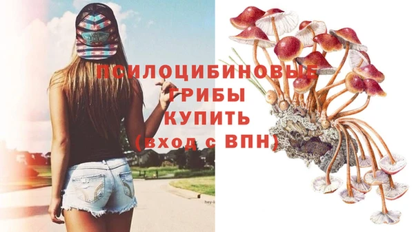 mix Алексин