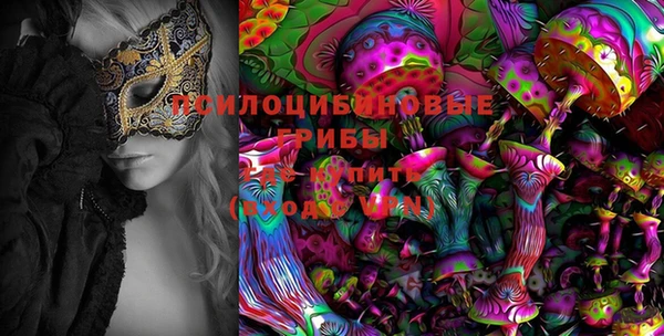 сатива Алзамай