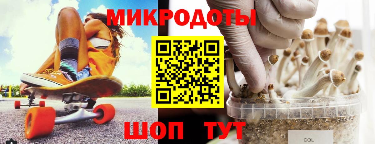 Галлюциногенные грибы Cubensis  Вход с VPN  Аргун 
